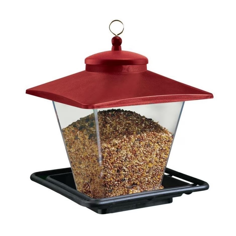 Cafe Wild Bird Feeder 7# Capacity