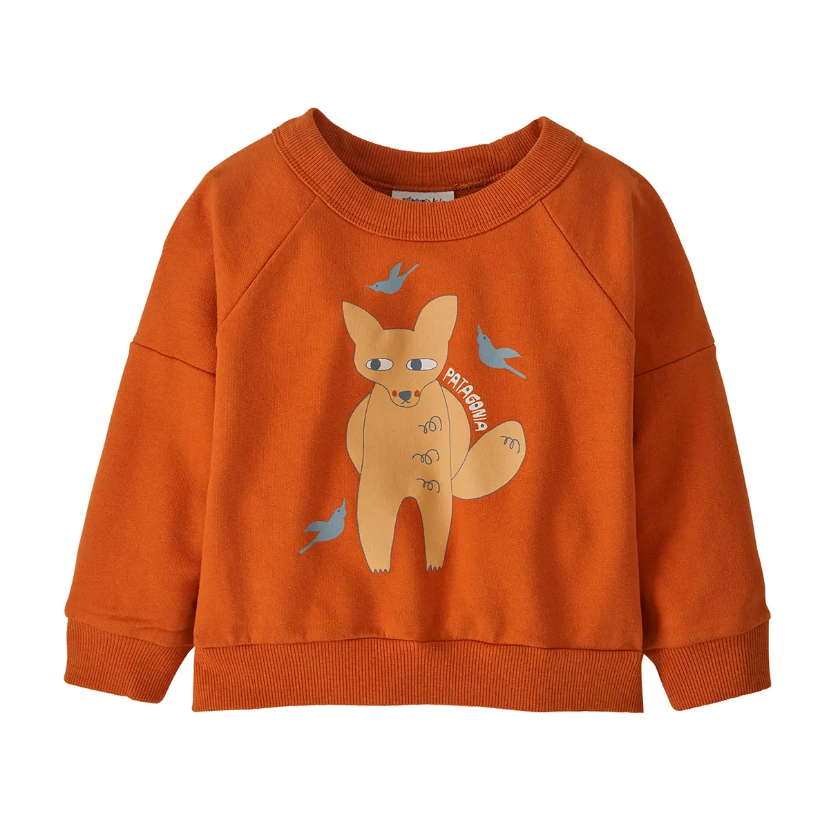 Patagonia Baby Crew Sweatshirt